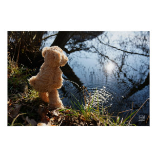 Poster Un ours drôle qui plante de façon déprimante.