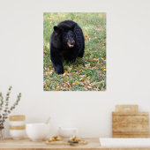 Poster Un ours noir souriant (Cuisine)