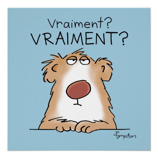 Poster Un ours vraiment incrédule (Devant)