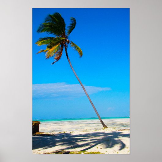 Poster Un Palm (Devant)