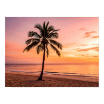Un palmier se dresse seul sur la plage au coucher