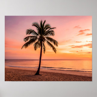 Poster Un palmier se dresse seul sur la plage au coucher