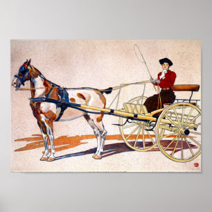 Poster Un panier à casser du Kentucky