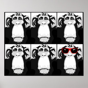 Poster Un panneau d'affiche drôle de singe cool