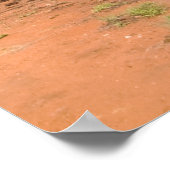 Poster Un panorama unique depuis Uluru Ayers Rock (Coin)