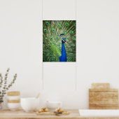 Poster Un paon hurle (Cuisine)