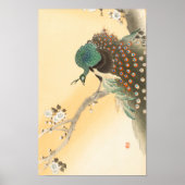 Poster Un paon sur un arbre en fleurs de cerisiers par Oh (Devant)