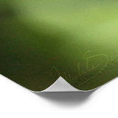 Poster Un papillon de nuit sur un papillon (Coin)