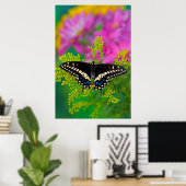 Poster Un papillon Machaon se pose (Bureau à domicile)