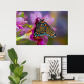 Poster Un papillon swallowtail (Bureau à domicile)