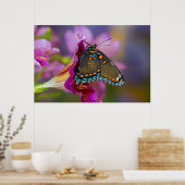 Poster Un papillon swallowtail (Cuisine)