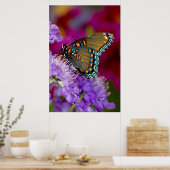 Poster Un papillon swallowtail à épices (Cuisine)
