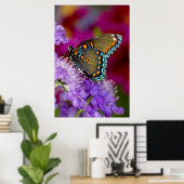Poster Un papillon swallowtail à épices (Bureau à domicile)