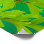 Poster Un papillon swallowtail atterrissant (Coin)