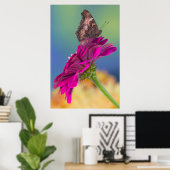 Poster Un papillon swallowtail | Papilio Multicaudatus (Bureau à domicile)