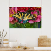 Poster Un papillon swallowtail tigré (Cuisine)