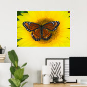 Poster Un papillon vice-roi | Limenitis Archippus (Bureau à domicile)