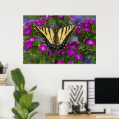 Poster Un papillon vice-roi sur des fleurs rose foncé (Bureau à domicile)