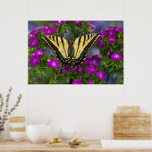 Poster Un papillon vice-roi sur des fleurs rose foncé (Cuisine)