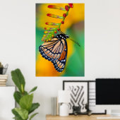 Poster Un papillon Viceroy sur les fleurs (Bureau à domicile)