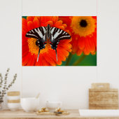 Poster Un papillon Zebra Swallowtail (Cuisine)