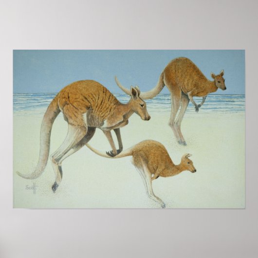 Poster Un pas en avant (Devant)