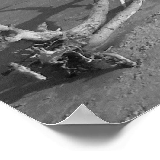 Poster Un passage solitaire (Coin)