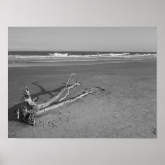 Poster Un passage solitaire