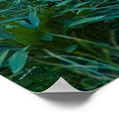 Poster Un pâturage de cerfs 1 (Coin)