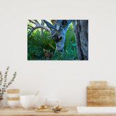 Poster Un pâturage de cerfs 1 (Cuisine)