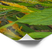 Poster Un peigne de bite avec l'amour brûlant (Coin)