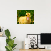 Poster Un Petit Canard (Bureau à domicile)