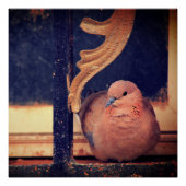 Poster Un peu de liquide (Devant)