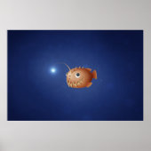 Poster Un peu de poisson-pêcheur (Devant)