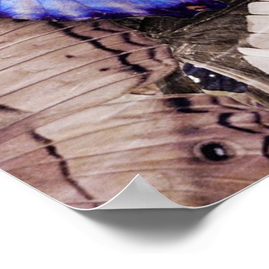 Poster un peu mal compris (Coin)