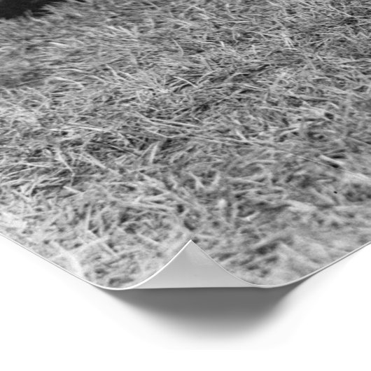 Poster Un peu plus bas, 1920 (Coin)