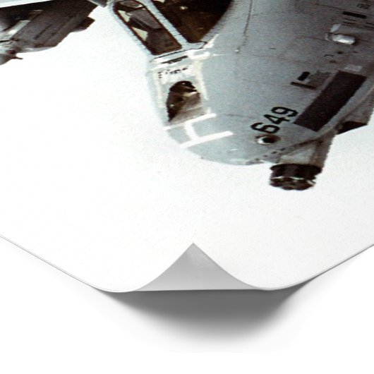 Poster Un phacochère A-10 (Coin)