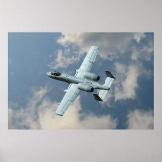 Poster Un phacochère A-10
