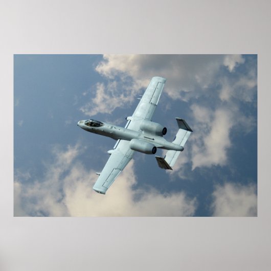 Poster Un phacochère A-10 (Devant)