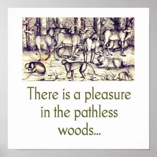 Poster Un Plaisir Dans Les Bois Sans Pathie (Devant)
