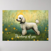 Poster Un Poodle Adorable Dans L'Ombre Pensant De Vous (Devant)