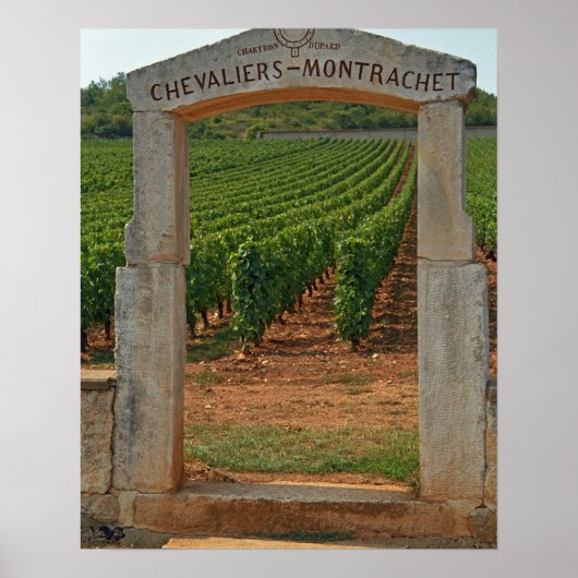 Poster Un portique en pierre au vignoble (Devant)