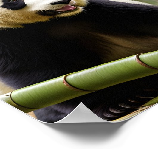 Poster Un portrait en gros plan d'un panda (Coin)