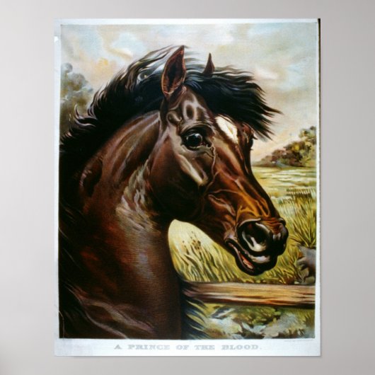 Poster Un Prince du Sang (Devant)