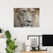Poster Un regard de lion (Bureau à domicile)