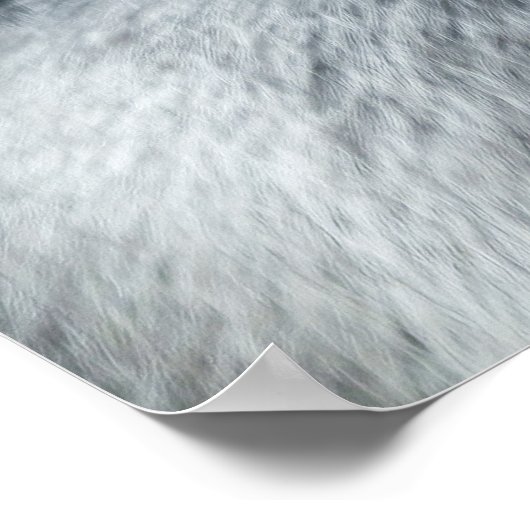 Poster Un regard de Silverback (Coin)