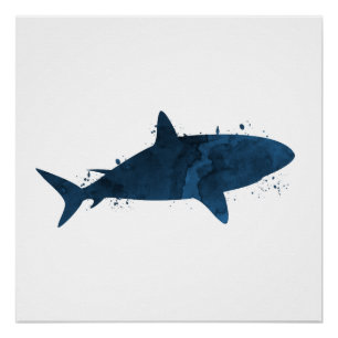 Poster Un requin