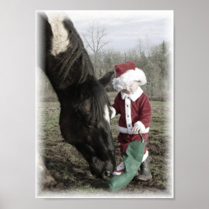 Poster Un rêve de Noël