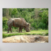 Poster Un rhino (Devant)