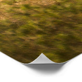 Poster Un Rhino avec son bébé (Coin)